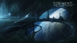 zber z hry Torment: Tides of Numenera