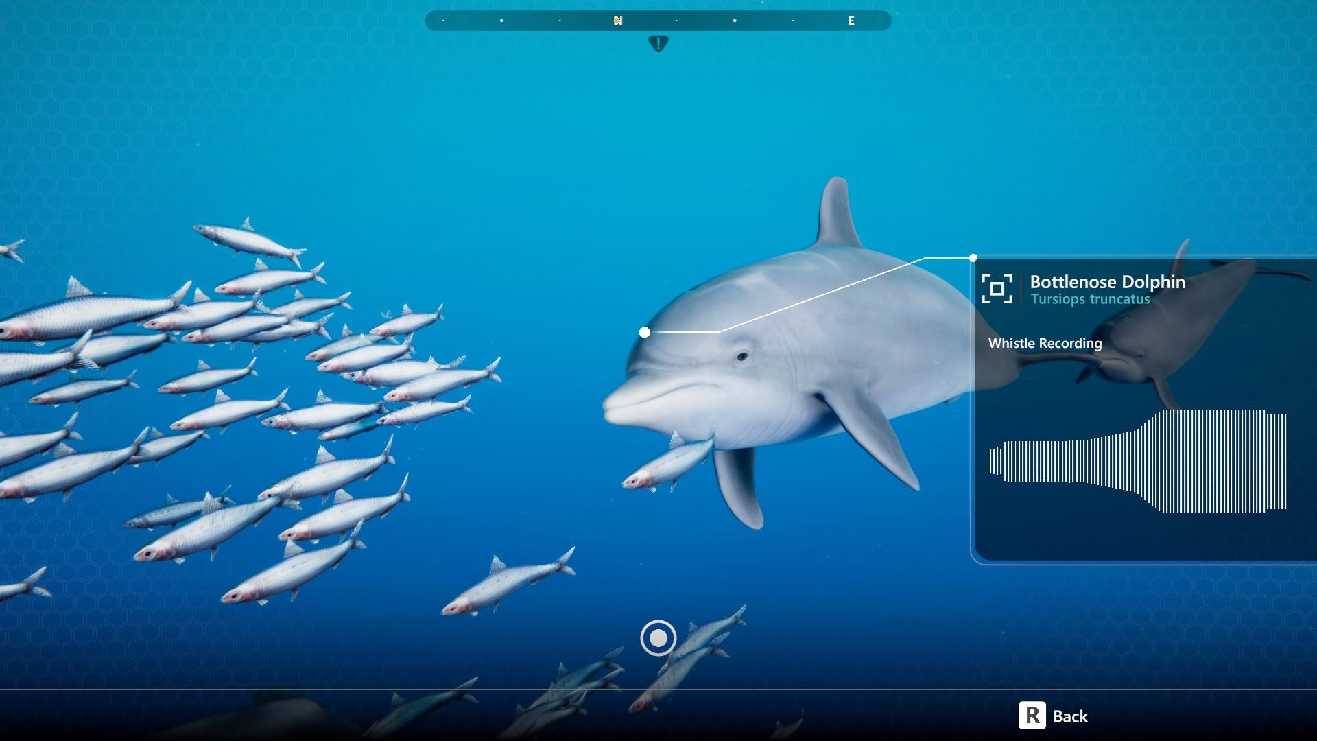 beyond blue resources